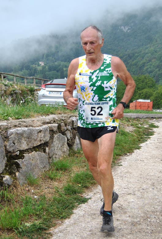 36-giuseppe-signorelli